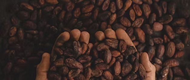 冻」东鹏2025三季度营收同比增长3036%一周热闻麻将胡了网址康师傅×疯狂动物城上新「冻冻茶冰红茶味果(图13)