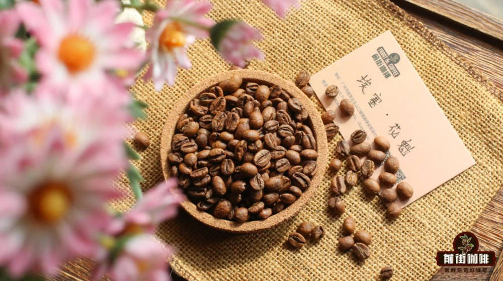 冲泡埃塞单品豆？适合新手入门的花果香浓郁的浅烘手冲咖啡豆有哪些推荐麻将胡了免费试玩埃塞俄比亚耶加雪菲与西达摩是同个咖啡产区吗？怎么(图6)